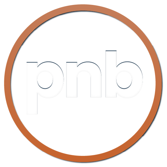 pnb web app development